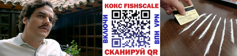 COCAIN Fish Scale  блэк спрут рабочий сайт  Сим 