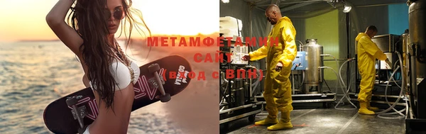прущие грибы Осташков