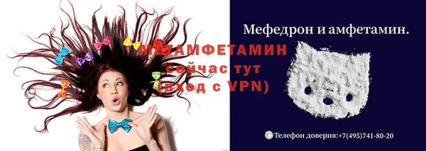 прущие грибы Осташков