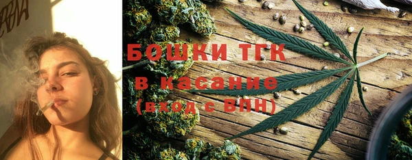 прущие грибы Осташков
