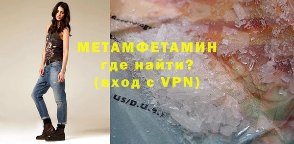прущие грибы Осташков