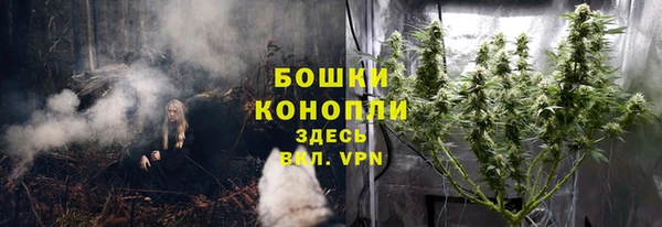 индика Снежногорск