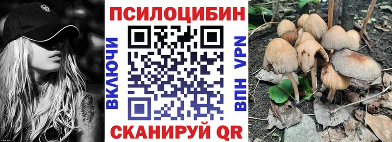 Псилоцибиновые грибы Cubensis  Сим 